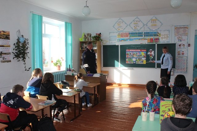 «День дорожной безопасности» прошел в школах Купинского района