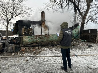 Возбуждено уголовное дело о гибели при пожаре пятерых человек, в том числе четырех несовершеннолетних детей в Купинском районе